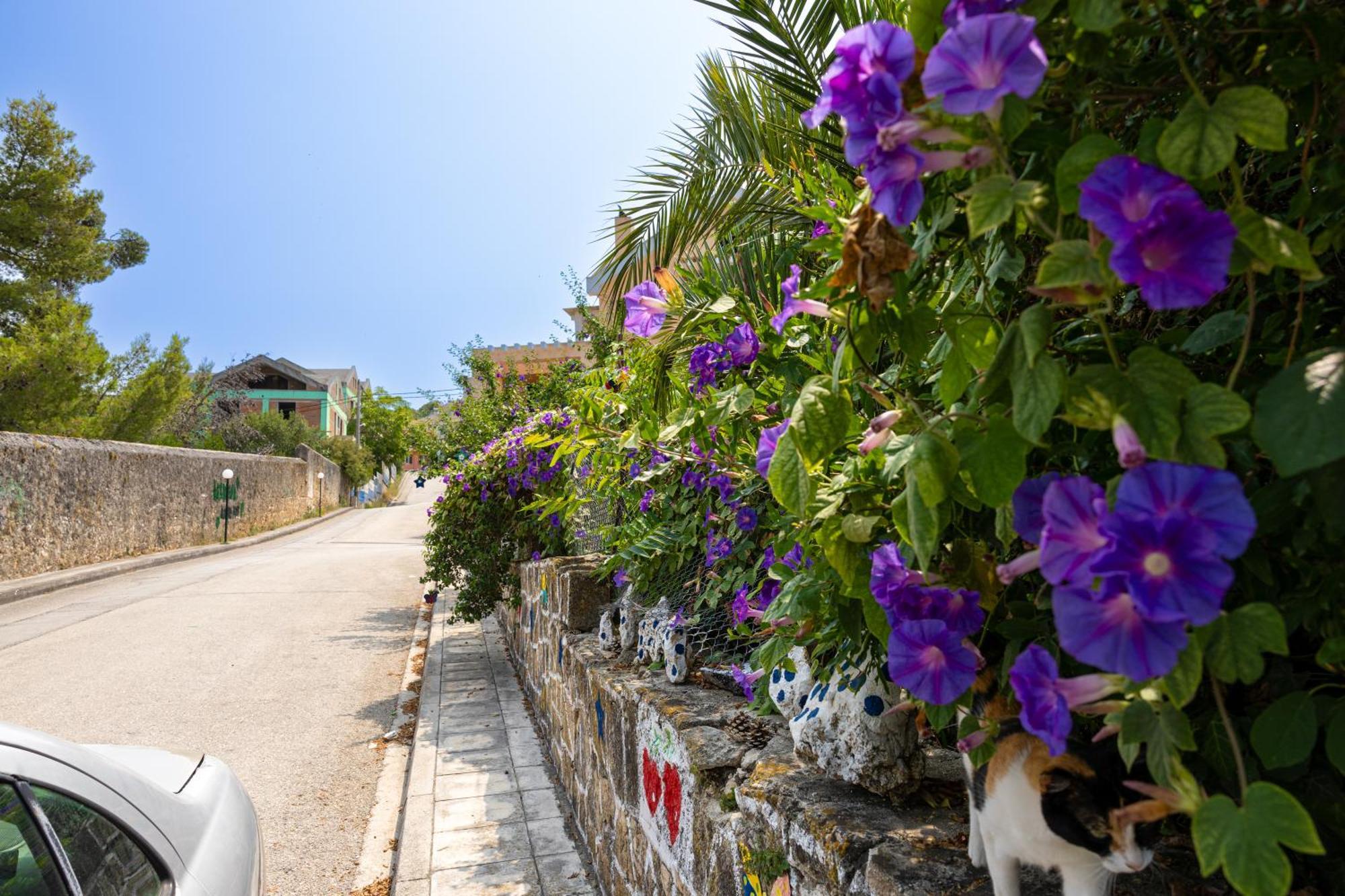 Domus City Apartment Argostoli  Esterno foto